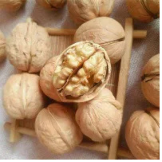 Premium Kashmiri Walnuts (Akhrot) 500 Grams | Fresh, High-Quality Walnuts with Shell | Dasi Akhrot | Desi Walnuts